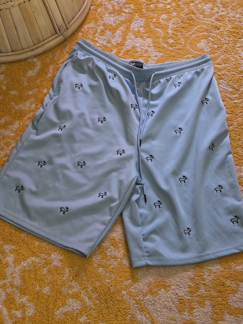 Men's Light Blue Embroidered Swim Board Shorts with Drawstring